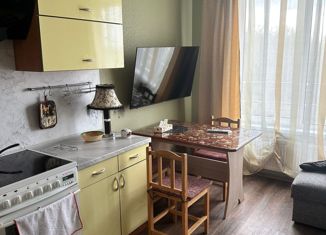 Сдается однокомнатная квартира, 41 м2, Ленинградская область, Счастливая улица, 3к2