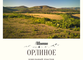 Продается земельный участок, 100 сот., село Орлиное, улица Владимира Тюкова