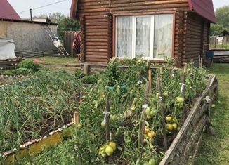 Продается дом, 30.8 м2, село Новокремлевское, переулок Толстого, 5