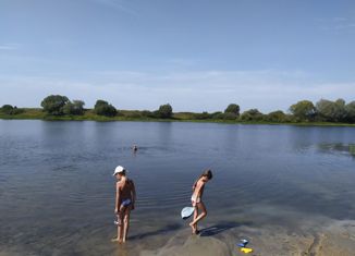 Продажа дома, 40 м2, село Надеино, Центральная улица
