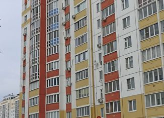 Продам квартиру студию, 34 м2, Орёл, улица Зеленина, 8