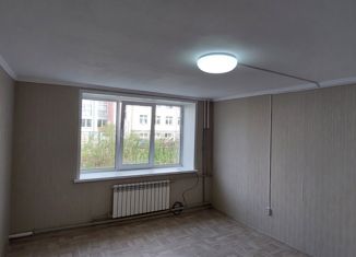 1-комнатная квартира на продажу, 27.2 м2, Нижегородская область, улица Матросова, 3