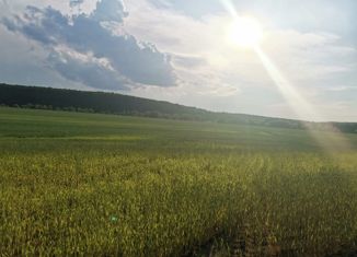 Дом на продажу, 31.8 м2, село Нижнее Казачье