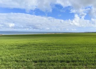 Земельный участок на продажу, 20000 сот., Марьевское сельское поселение