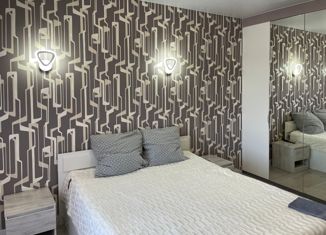 Продам однокомнатную квартиру, 46.7 м2, Санкт-Петербург, улица Турку, 13к1, метро Международная