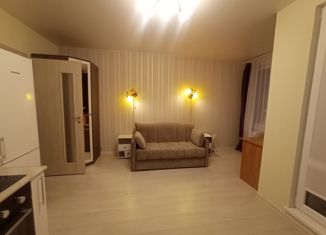 Сдаю квартиру студию, 26 м2, Санкт-Петербург, бульвар Головнина, 12к1, бульвар Головнина