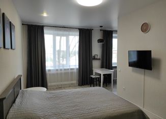 Однокомнатная квартира на продажу, 26 м2, Семилуки, улица Дзержинского, 4