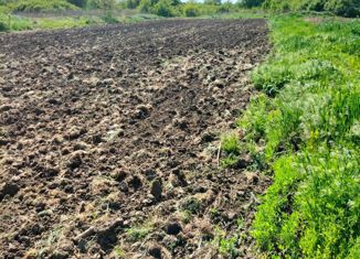 Продается земельный участок, 1500 сот., хутор Камышеваха, улица Подтёлкова