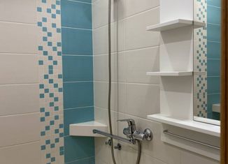 Сдается 2-комнатная квартира, 55.7 м2, поселок Шадриха, Большевистская улица, 2А