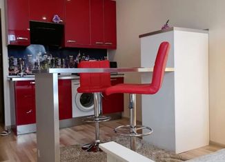 Продажа квартиры студии, 28.4 м2, Санкт-Петербург, улица Хошимина, 16, улица Хошимина