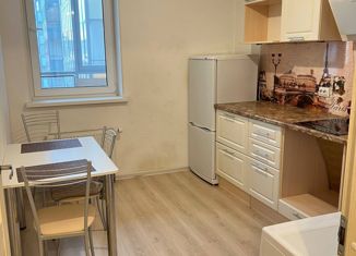 Продажа 1-комнатной квартиры, 31 м2, Санкт-Петербург, Парашютная улица, 38к1, ЖК Граффити