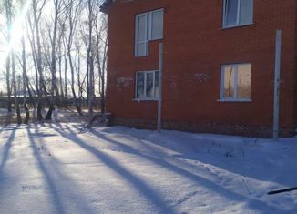 Продается дом, 180 м2, село Красноярка, улица Островского