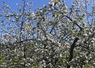 Земельный участок на продажу, 30 сот., поселок Есуковский