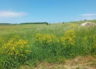 Земельный участок на продажу, 50 сот., село Черновское