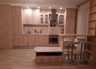 Продам 1-комнатную квартиру, 47.3 м2, Санкт-Петербург, Выборгское шоссе, 17к4, метро Проспект Просвещения