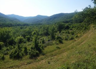 Продажа земельного участка, 100 сот., городской округ Судак