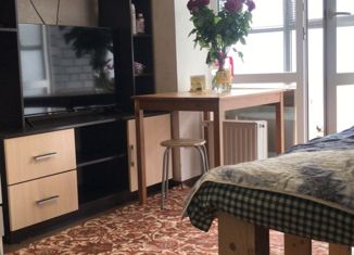 Продается квартира студия, 25 м2, село Новое Шигалеево, улица Габдуллы Тукая, 7