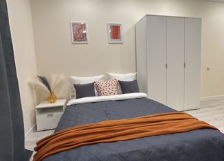 Продажа квартиры студии, 24.3 м2, поселение Сосенское, Прокшинский проспект, 11