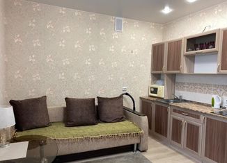 Сдается в аренду квартира студия, 27 м2, Барнаул, улица Островского, 23/213, Ленинский район