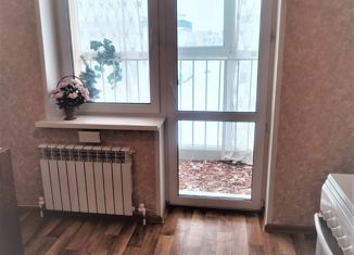 Продается однокомнатная квартира, 31 м2, сельский посёлок Новинки, Нижегородская улица, 11, ЖК Окский Берег