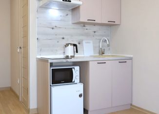 Продается квартира студия, 17.4 м2, Екатеринбург, улица Токарей, 33, улица Токарей