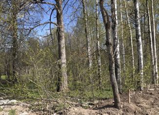 Продам участок, 10.2 сот., село Никольское, улица Мира