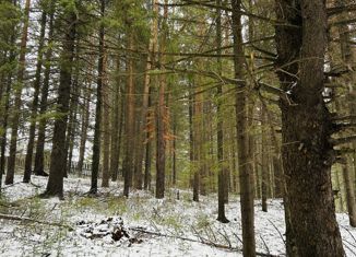 Земельный участок на продажу, 12.8 сот., село Шемети, улица Победы