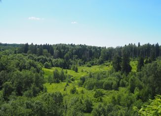 Продается земельный участок, 380 сот., деревня Степаново