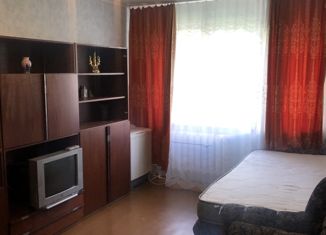 Сдам в аренду 1-ком. квартиру, 30 м2, Красноярский край, Восточная улица, 53