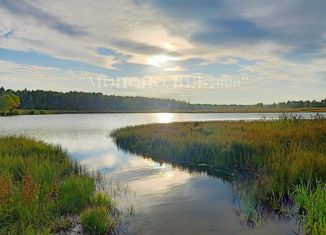 Продам земельный участок, 6 сот., деревня Нефедьево