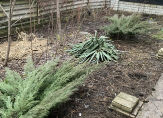 Продаю дом, 89 м2, село Озёрки