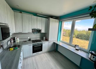 Продается 2-комнатная квартира, 47 м2, Петрозаводск, Карьерный проезд, 2, район Каменный Бор