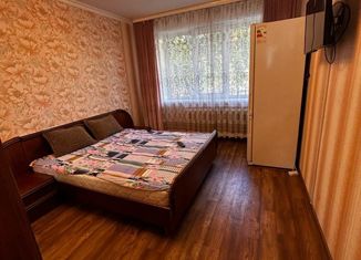 Продается 2-комнатная квартира, 47.3 м2, поселок Береговой, улица Бабкина, 17