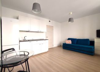 Продажа квартиры студии, 30 м2, Санкт-Петербург, Парашютная улица, 42к2, ЖК Граффити