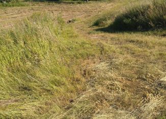 Продажа участка, 45.5 сот., село Владимировка, Центральная улица, 34