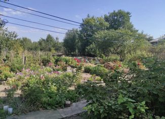 Продаю дом, 58 м2, хутор Масаловка, улица Пушкина, 63