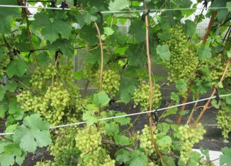 Продажа дома, 32 м2, Шадринск