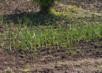 Продается дом, 50 м2, Воскресенск, СНТ Отдых, 189