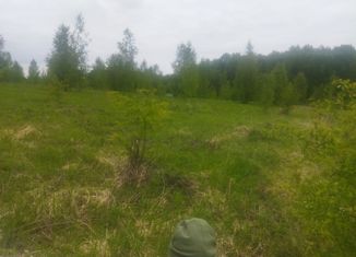 Продам участок, 15 сот., посёлок Хвощевский, Центральная улица