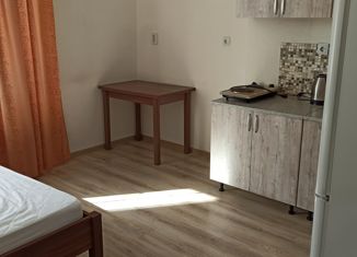 Продаю квартиру студию, 29.7 м2, Мурино, ЖК Северный, улица Шоссе в Лаврики, 68к3