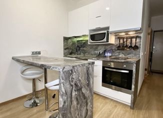 Продам квартиру студию, 24 м2, Ростов-на-Дону, улица Нансена, 103/1/7, ЖК Звезда Столицы