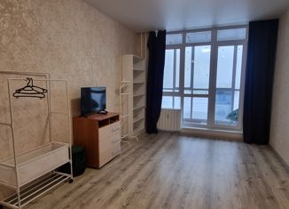 Сдам в аренду квартиру студию, 25.2 м2, Северодвинск, Крымская улица, 10