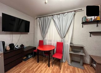 Продажа квартиры студии, 26 м2, Пермский край, Цветочная улица, 1