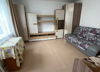 Продается однокомнатная квартира, 26.1 м2, Алейск, улица Ширшова, 2А