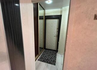 Сдается в аренду однокомнатная квартира, 38 м2, Петропавловск-Камчатский, Рыбацкая улица, 4, микрорайон Сероглазка