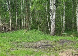 Продается земельный участок, 13 сот., Свенское сельское поселение