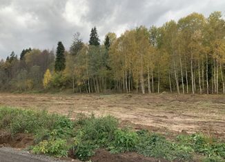 Продажа участка, 11.47 сот., деревня Шадрино