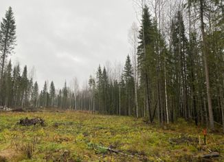 Продается участок, 14 сот., Сыктывкар, Эжвинский район, Моховая улица
