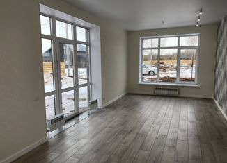 Продажа дома, 120 м2, деревня Новое Мамонино, Кронштадтская улица