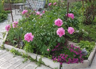 Продаю участок, 6.1 сот., село Осиновая Речка